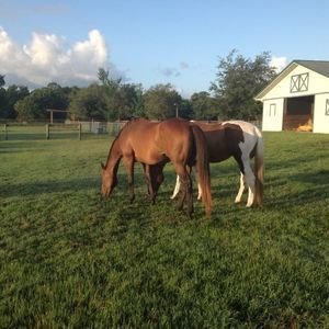 Meet your Posher, Wendi